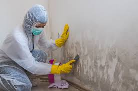 Best Biohazard Mold Removal  in Oconto, WI